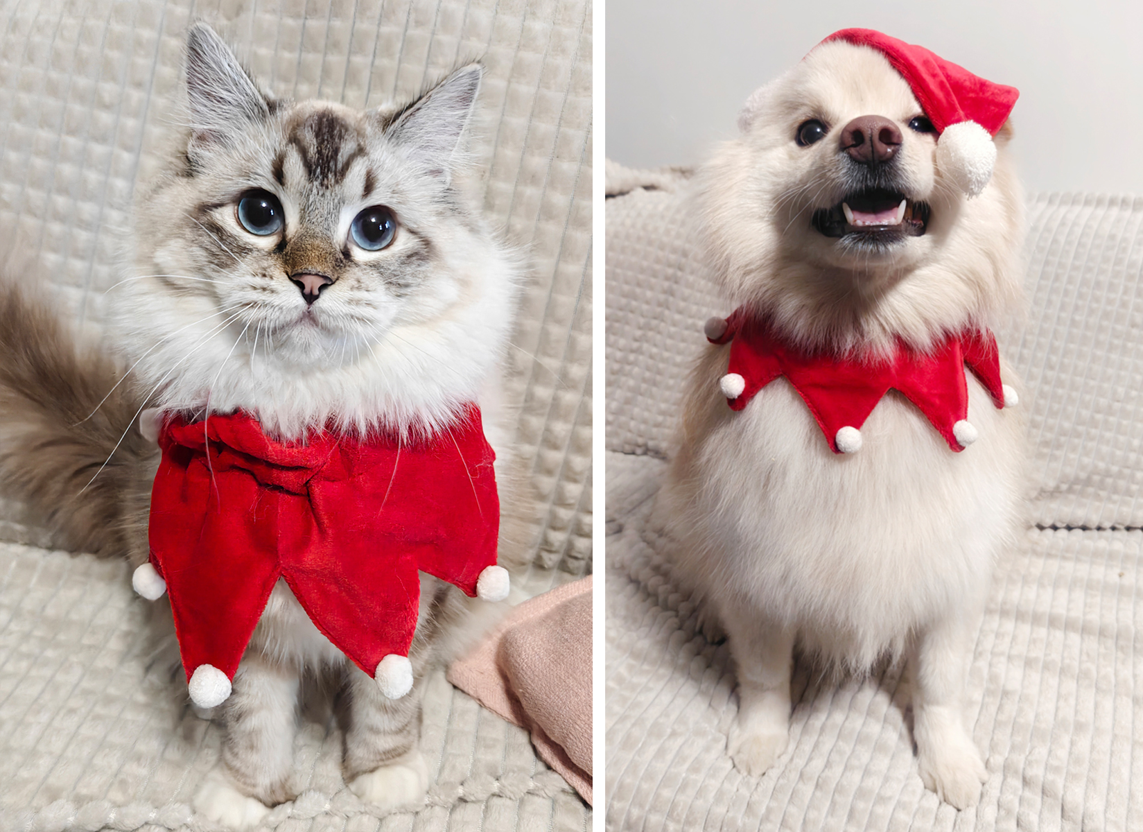 Hyvää Joulua 2025 ♥